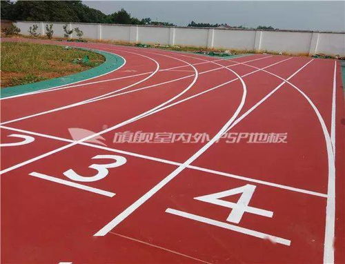 国体旗舰丨旗舰环保PSP卷材跑道 塑胶场地预制型跑道卷材新选择