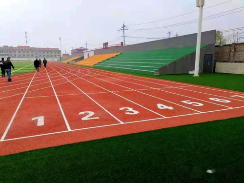 《学校运动场地合成材料面层推荐目录（2021-2022）》产品展播 塑胶场地预制型跑道卷材