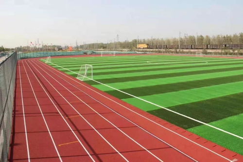 预制型塑胶跑道 产品特性与造价深度解析