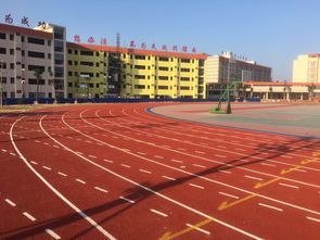塑胶跑道新选择 预制型跑道卷材的全面解析